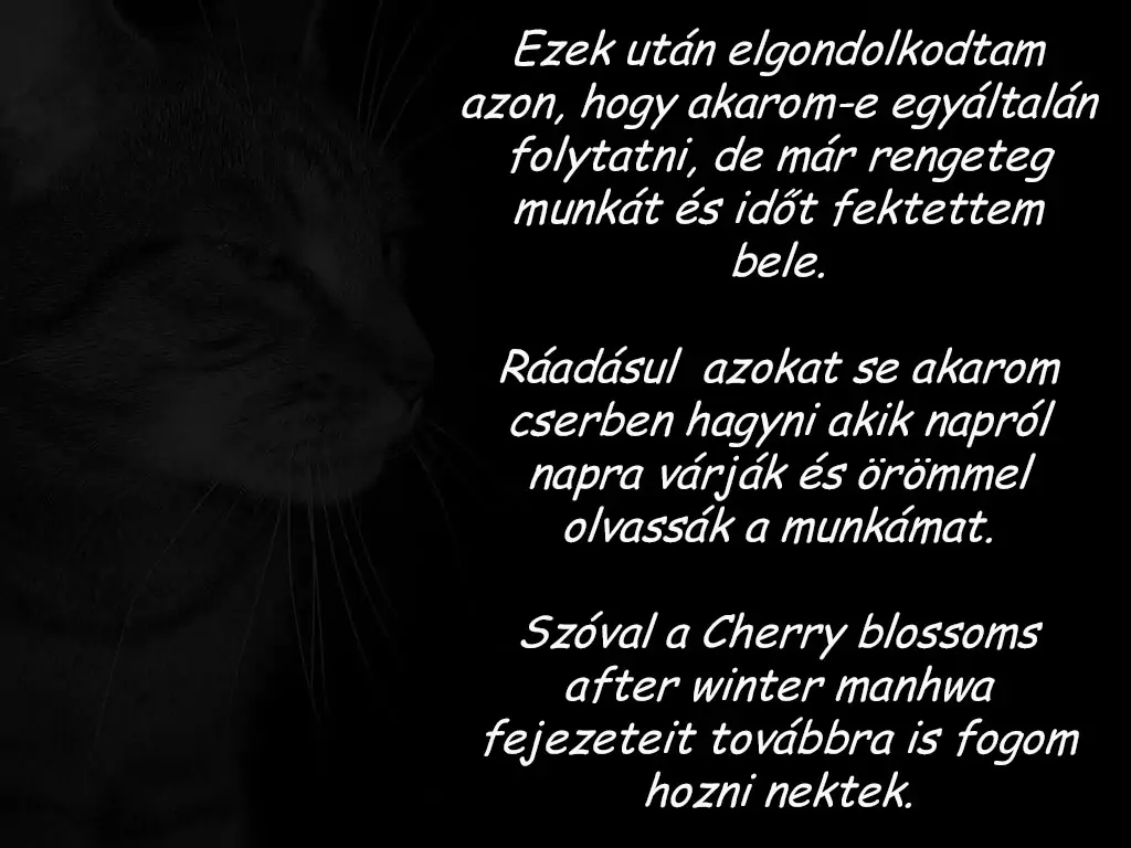 28998453 1024 768 53342